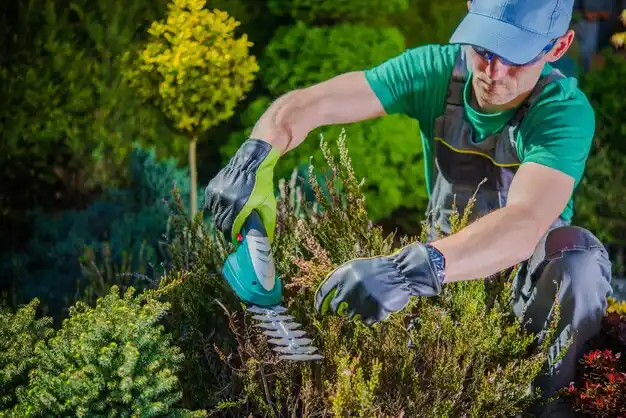 landscaping services Battle Creek